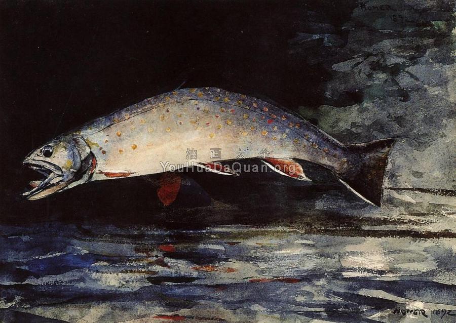A Brook Trout - 温斯洛·荷默